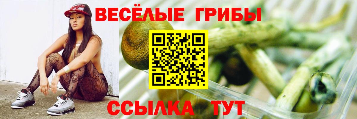 Благодарный  Галлюциногенные грибы ЛСД  Вход с VPN  Псилоцибиновые грибы MAGIC MUSHROOMS 